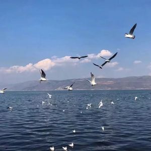 69福利视频一区二区
