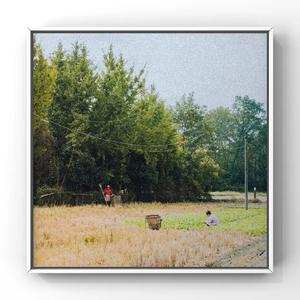 69福利视频一区二区
