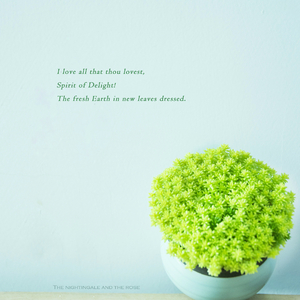 69福利视频一区二区
