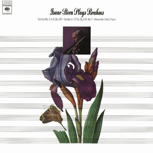 69福利视频一区二区
